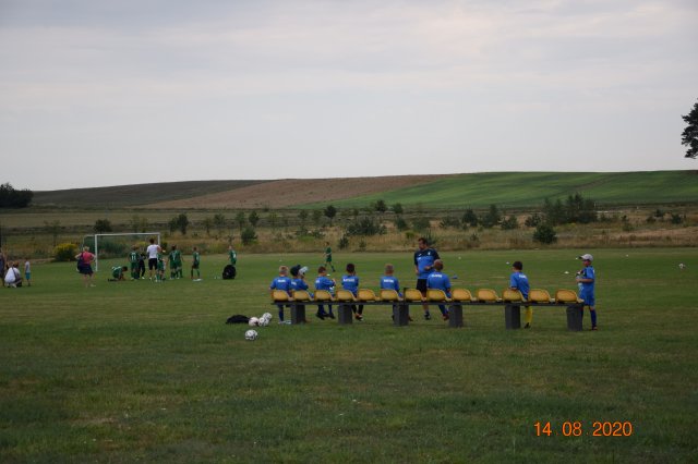 plewis 12